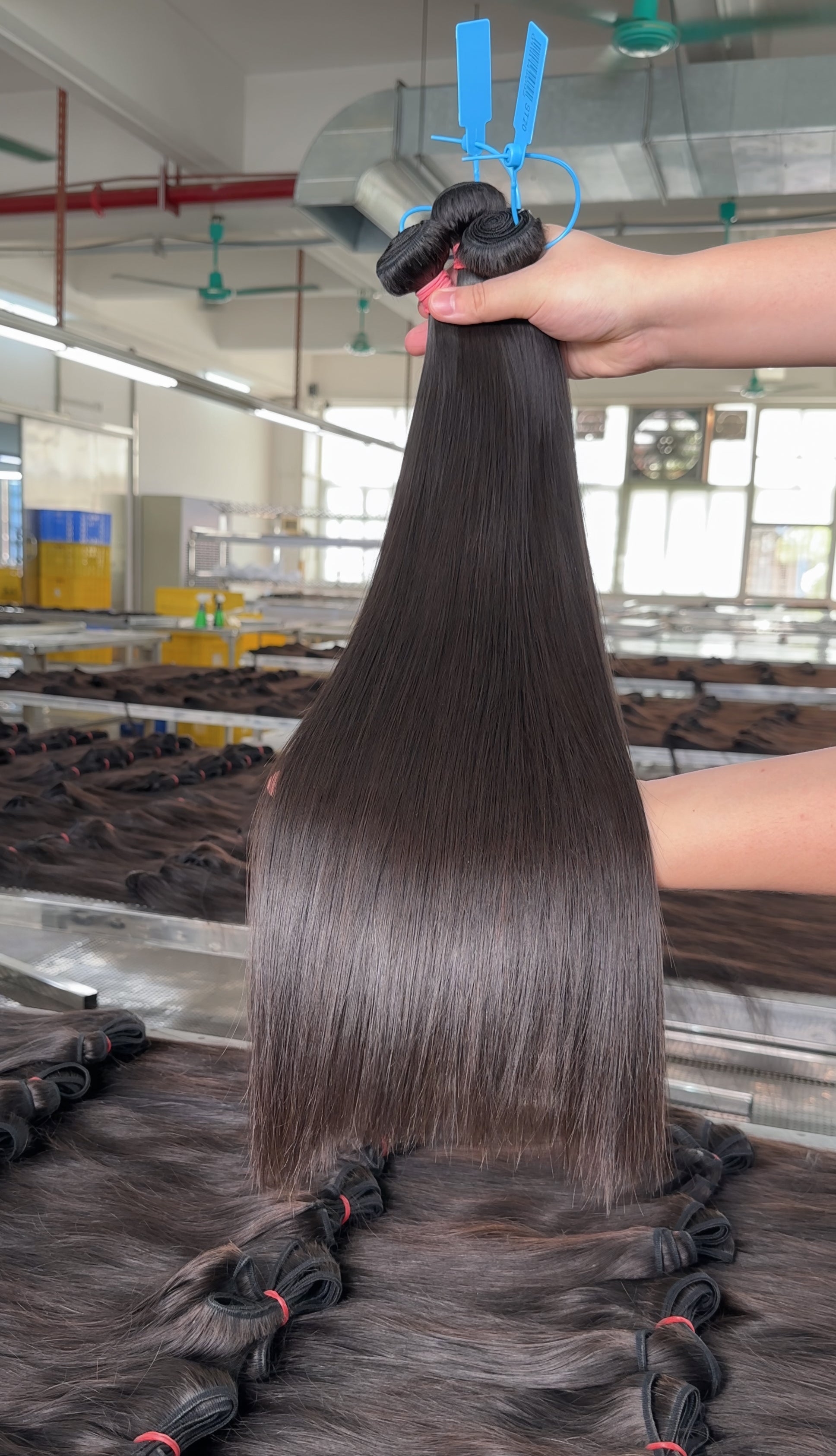 P1 Rose Band Virgin Hair Bundle Deals-Straight