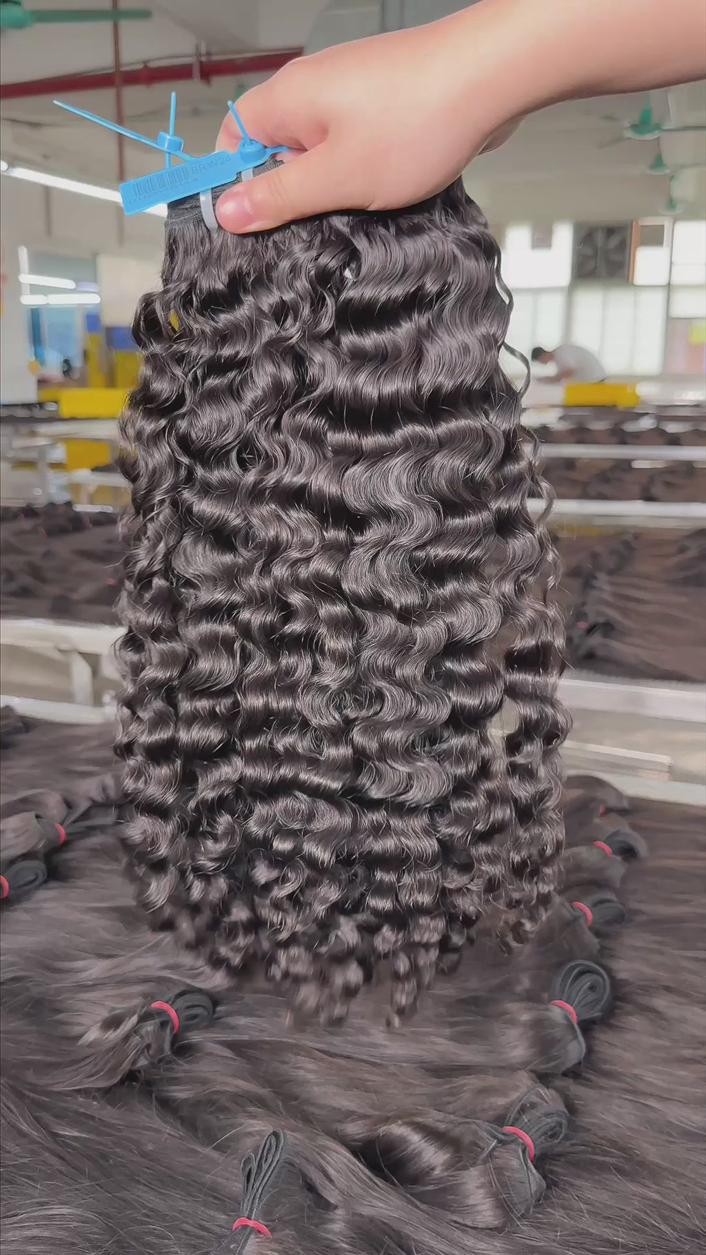 12A Blue Band Virgin Hair Bundle Deals-Burmese Curly